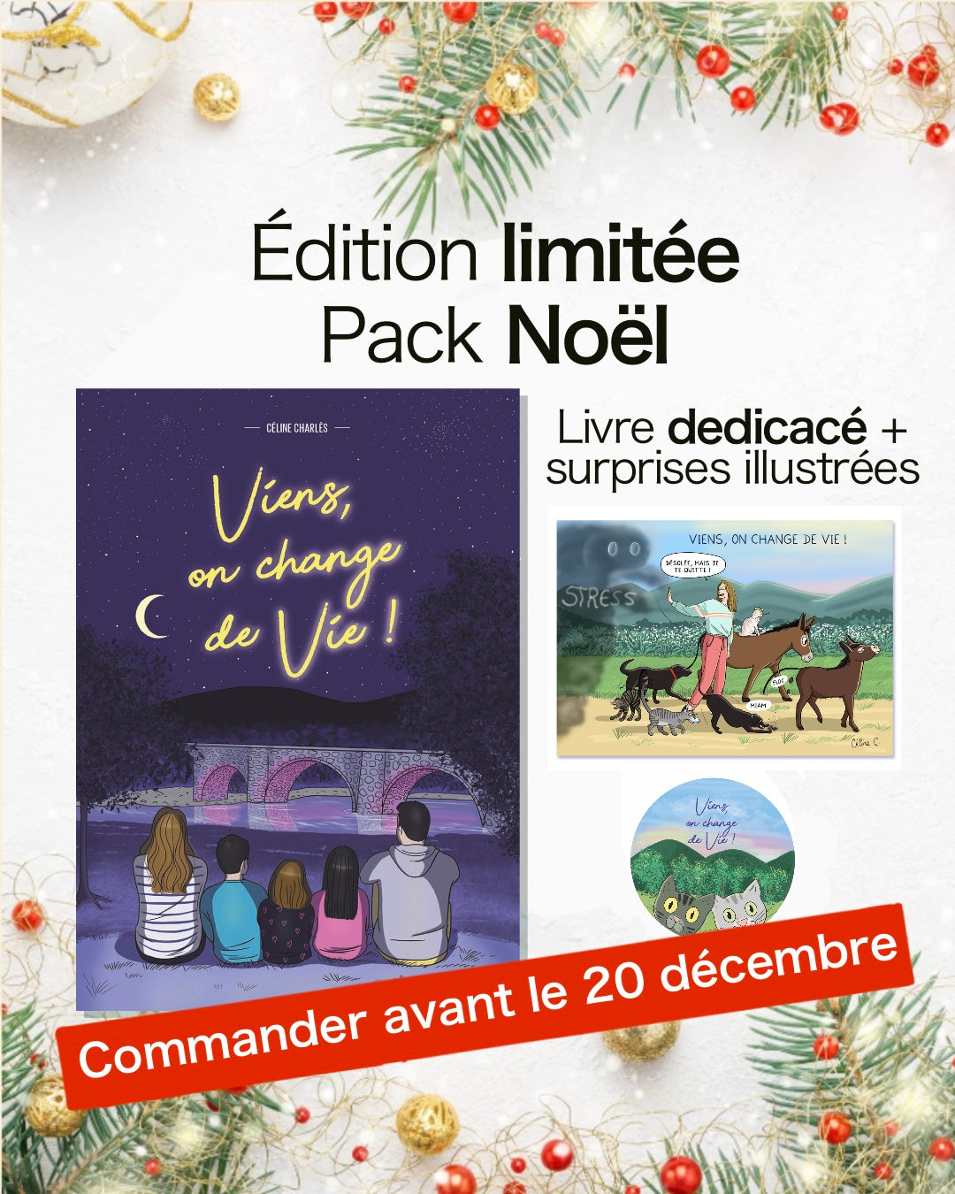 ✨🎄 Pack Noël "Viens, on change de vie !" dédicacé + goodies